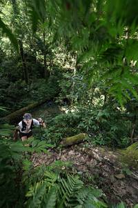 BIB: 007
                            <button type="button" onclick="openModal(16028683)" class="btn btn-primary btn-sm float-right btn-popup" data-toggle="modal" data-target=".modal-high-quality">
                        <i class="fas fa-shopping-cart"></i> Add to Cart
                    </button>
                                            <button type="button" onclick="isThisMe(16028683, true)" class="btn btn-success btn-sm float-right btn-popup btn-isme hidden" data-toggle="tooltip" data-placement="bottom" title="นี่คือรูปของคุณใช่ไหม คลิกที่นี่เพื่อเอาเข้าอัลบั้ม">
                        <i class="fas fa-plus"></i> Add to album
                    </button>
                    <button type="button" onclick="isThisMe(16028683, false)" class="btn btn-warning btn-sm float-right btn-popup btn-isnotme hidden">
                        <i class="fas fa-ban"></i> Remove from album
                    </button>